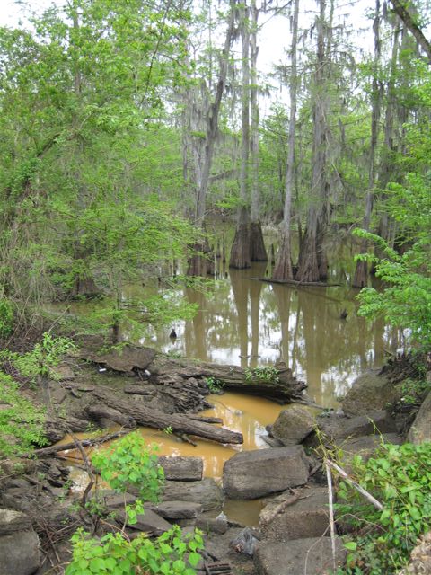 Bogalusa, LA... If there weren't alligators in there, it would be nice...